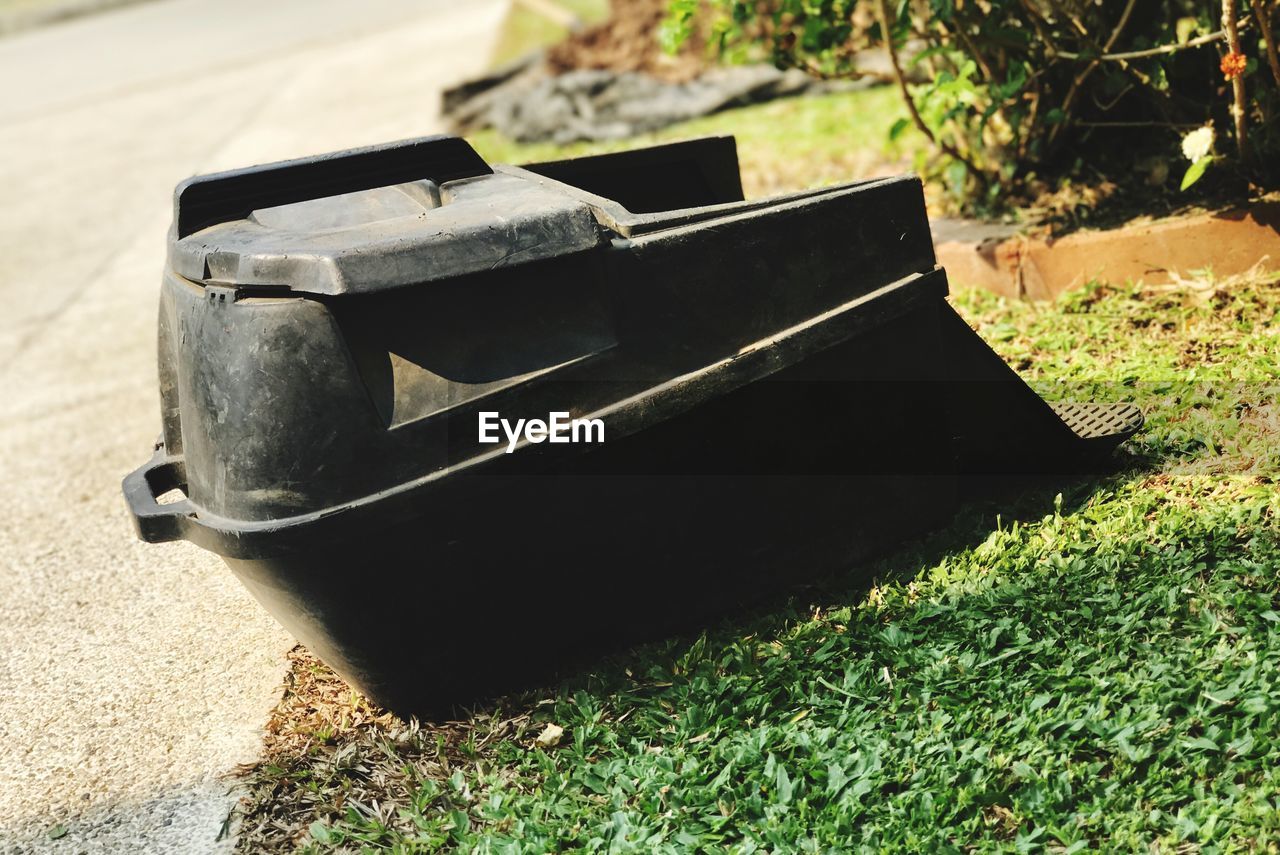 CLOSE-UP VIEW OF GREEN LEAVES