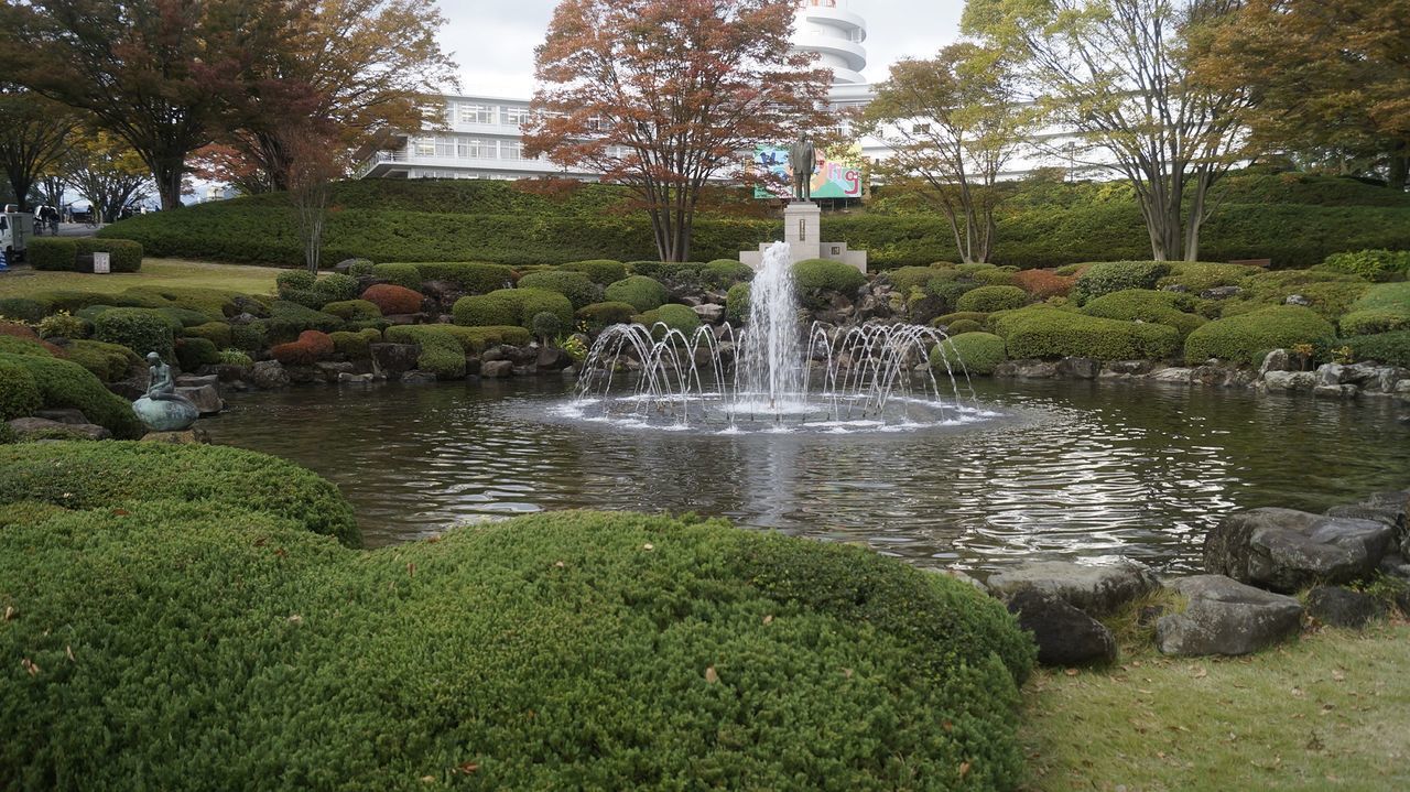 VIEW OF WATERFALL AGAINST TREES