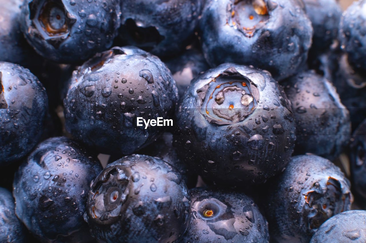 Blueberry berry background. macro. fresh blueberry background. water drops on ripe blueberries