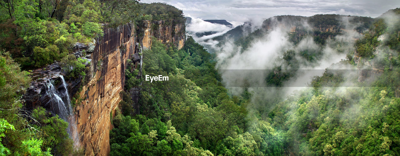 Scenic view of waterfall in forest