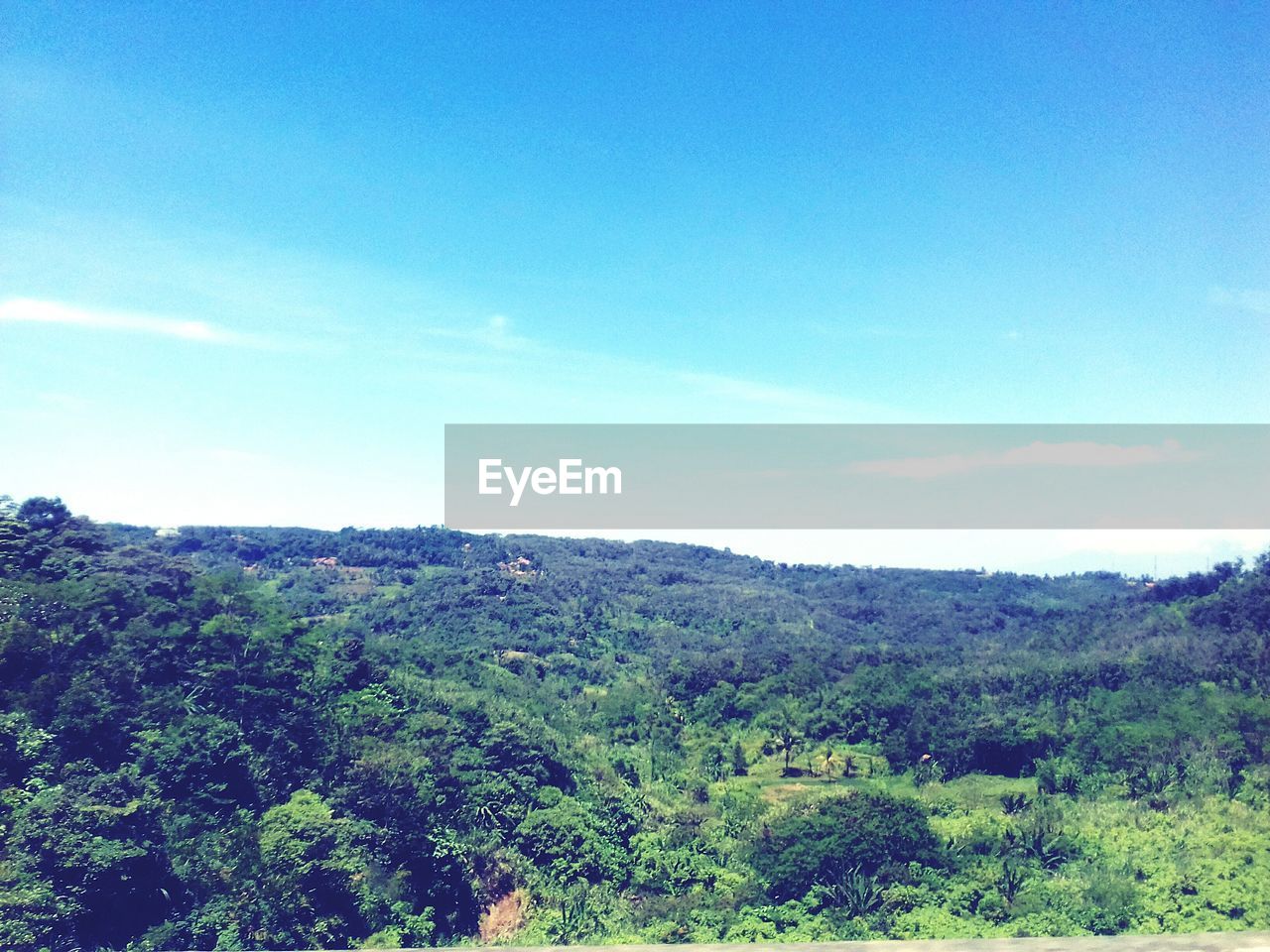 Scenic view of trees against blue sky