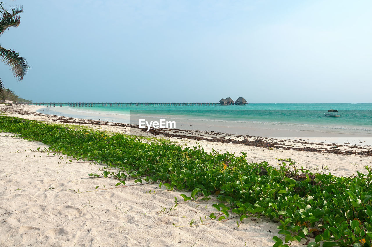 Scenic view of beach against clear sky