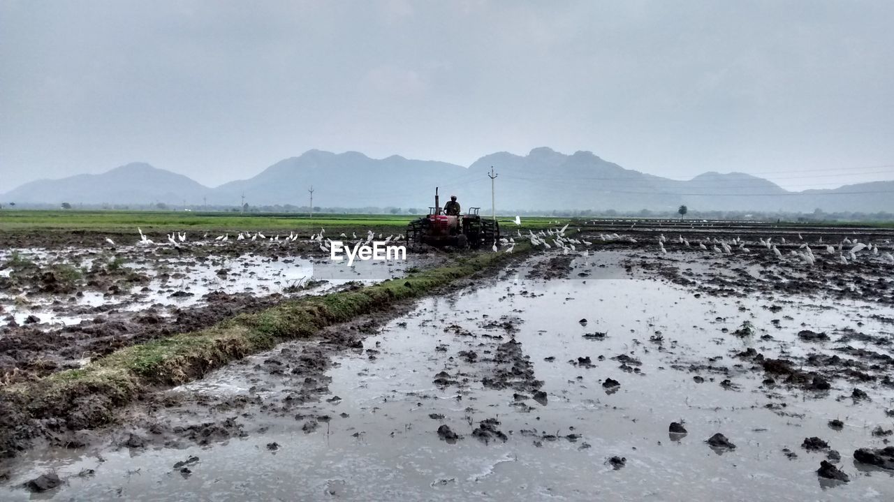 Farmer driving tractor in muddy farm