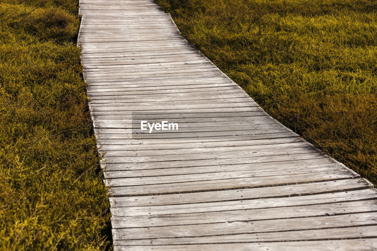 HIGH ANGLE VIEW OF WOODEN BOARDWALK IN FIELD