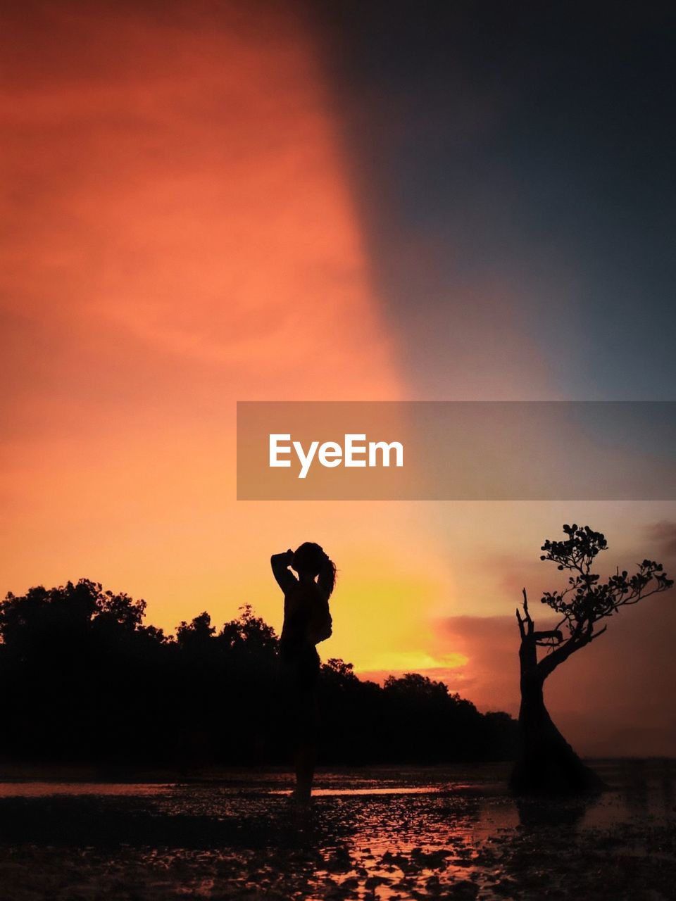 SILHOUETTE PEOPLE STANDING BY TREE AGAINST ORANGE SKY