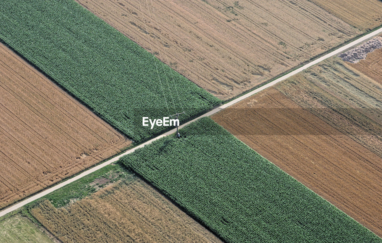 High angle view of farm