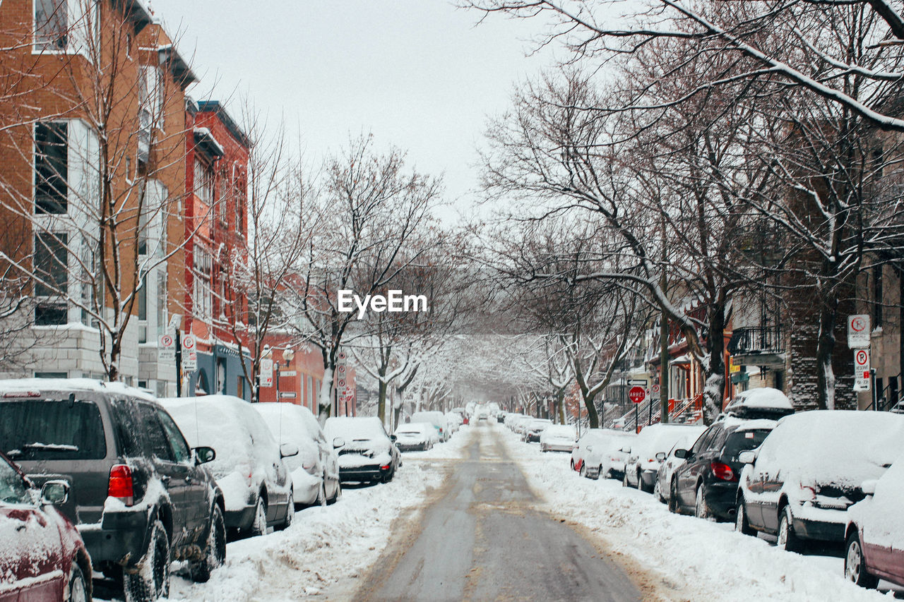 Cars on street during winter