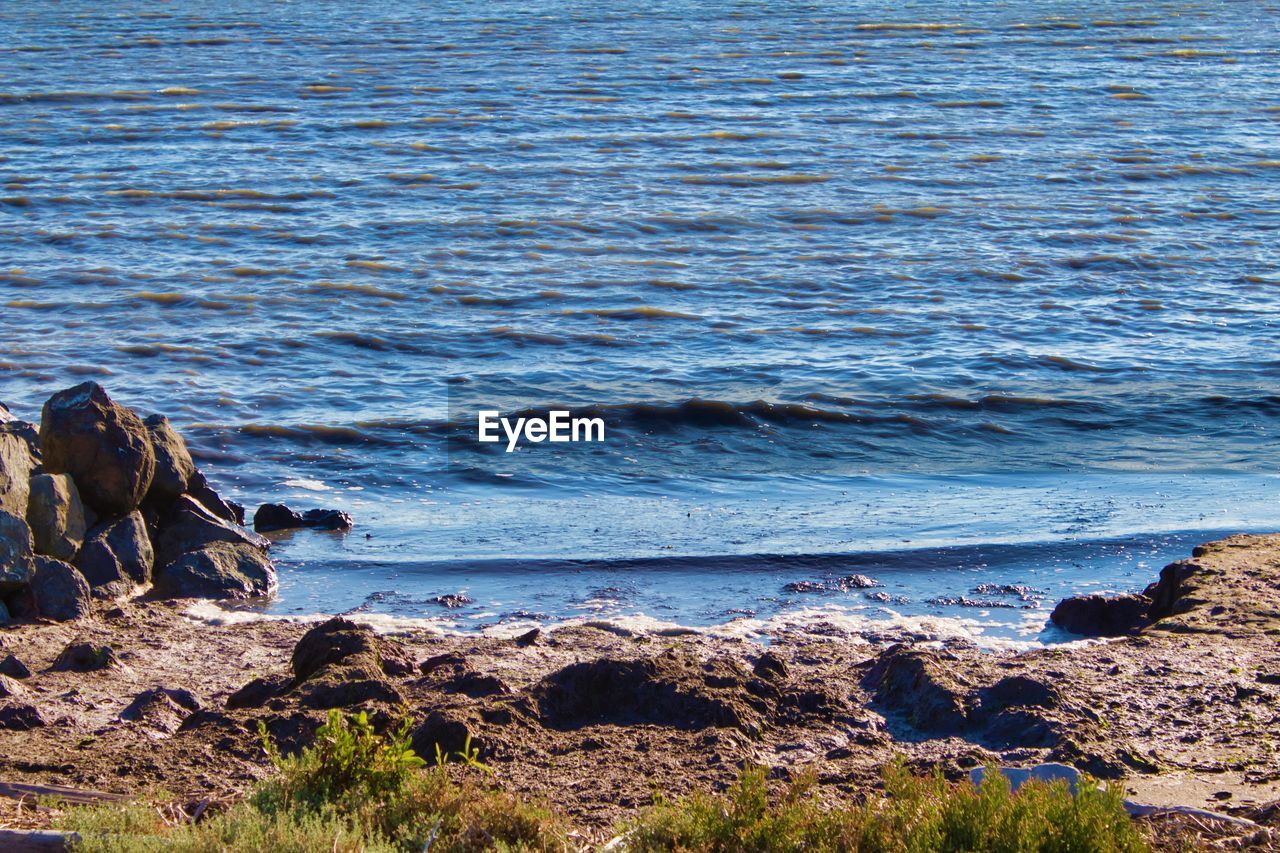 Scenic view of sea shore