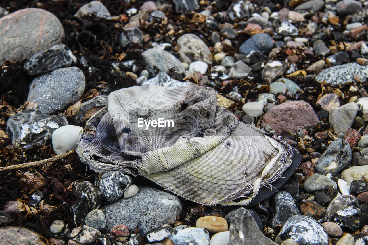 CLOSE-UP OF CRAB ON PEBBLES