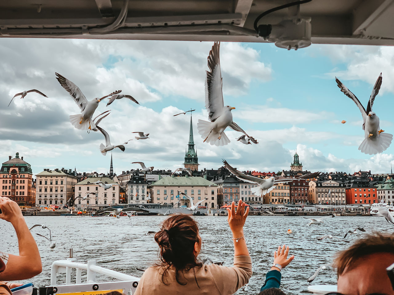 LOW ANGLE VIEW OF SEAGULLS FLYING ABOVE CITY