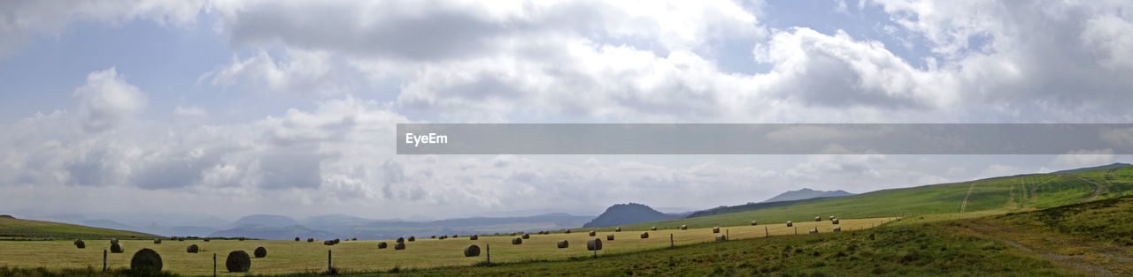 PANORAMIC SHOT OF GREEN LANDSCAPE