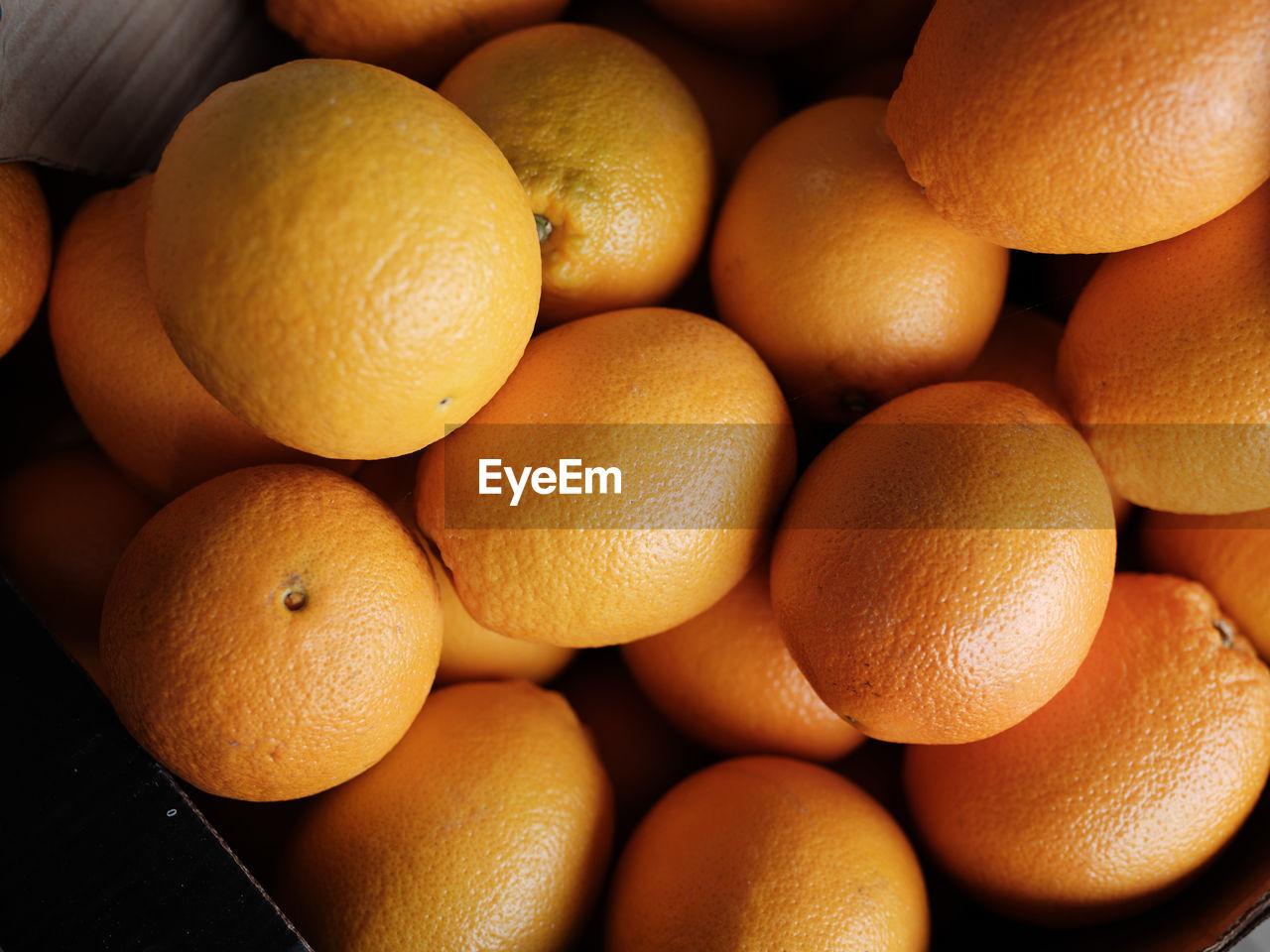 Oranges sold at the local store