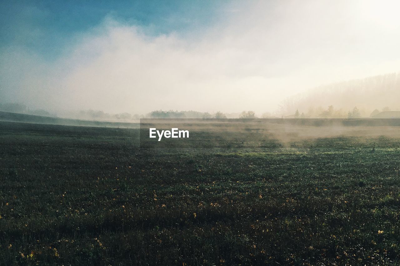 Scenic view of field against sky