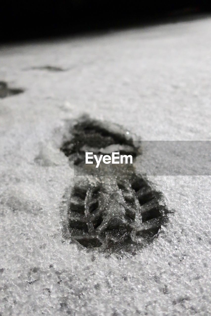 CLOSE-UP OF SNAKE ON SNOW