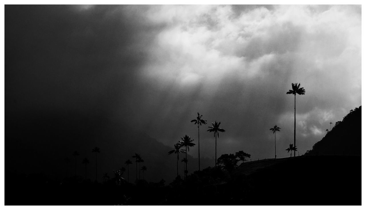 Low angle view of silhouette trees against cloudy sky