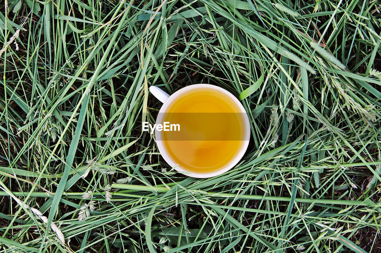 HIGH ANGLE VIEW OF TEA CUP ON GRASS