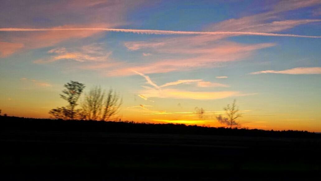 SILHOUETTE OF TREES ON LANDSCAPE AT SUNSET