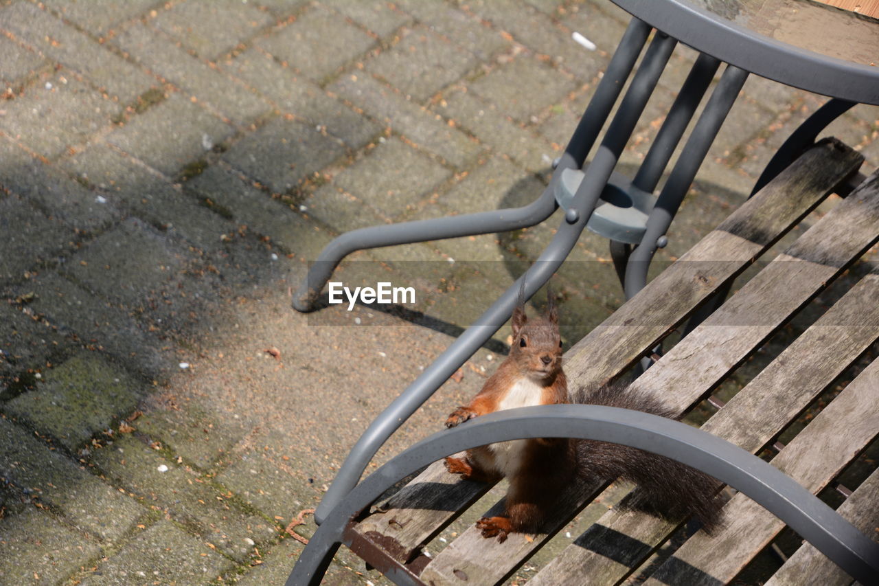 HIGH ANGLE VIEW OF EMPTY CHAIR IN STREET