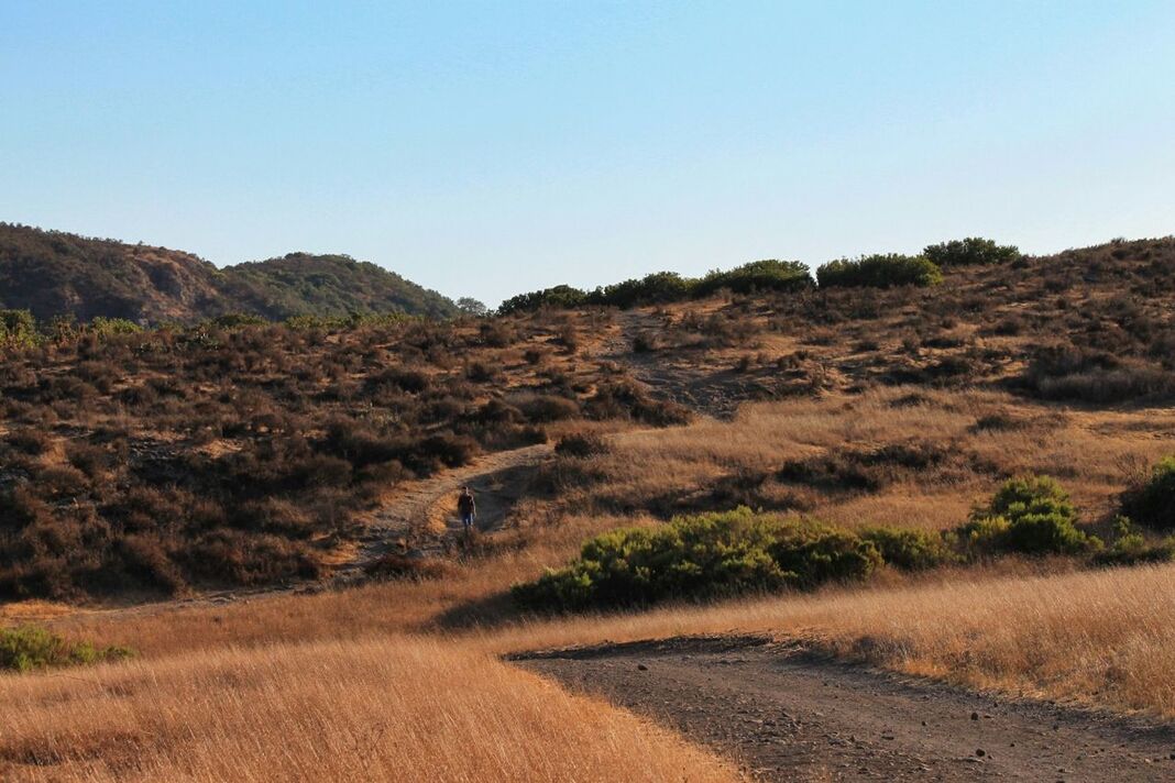 Dirt road on arid landscape