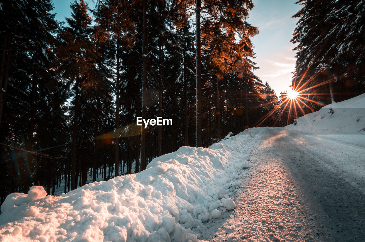 Snow covered land and trees against sky during sunset