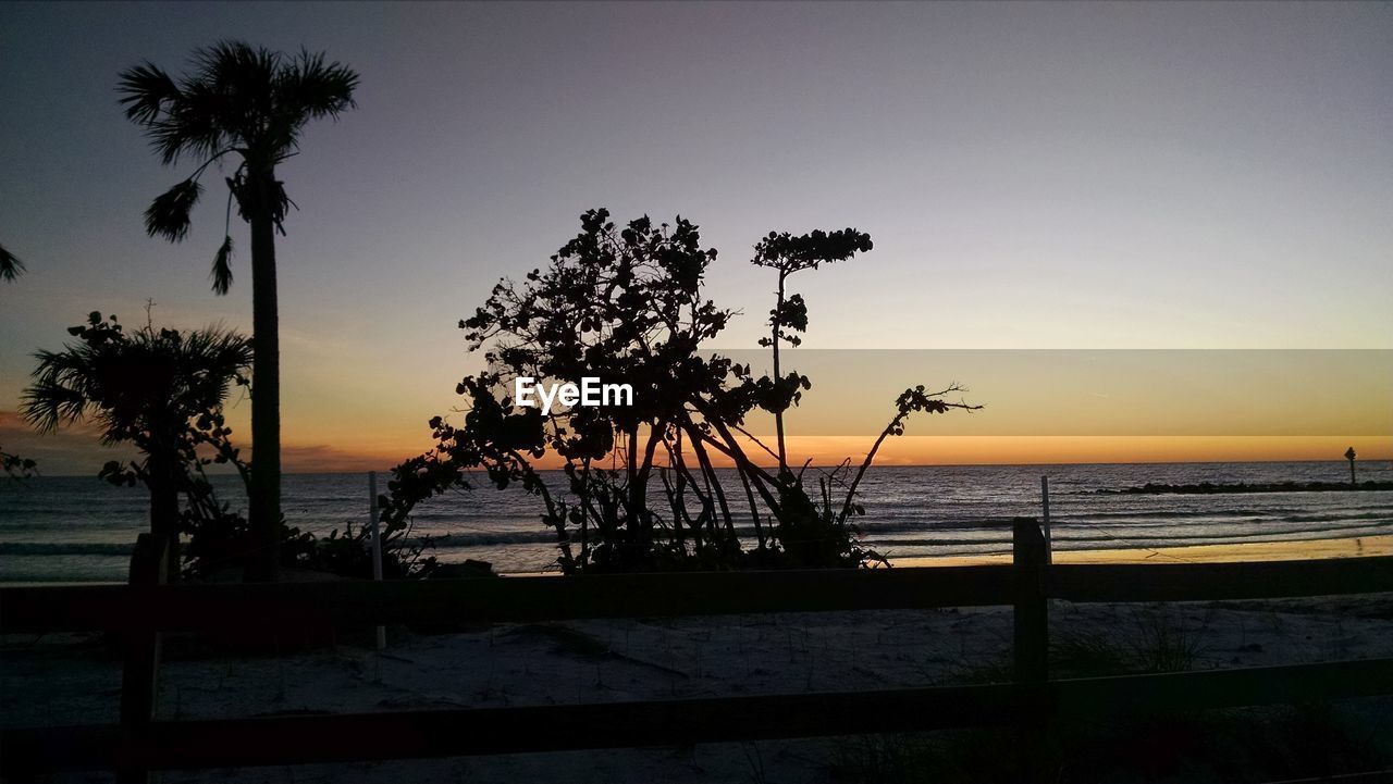 SILHOUETTE OF PALM TREE AT BEACH