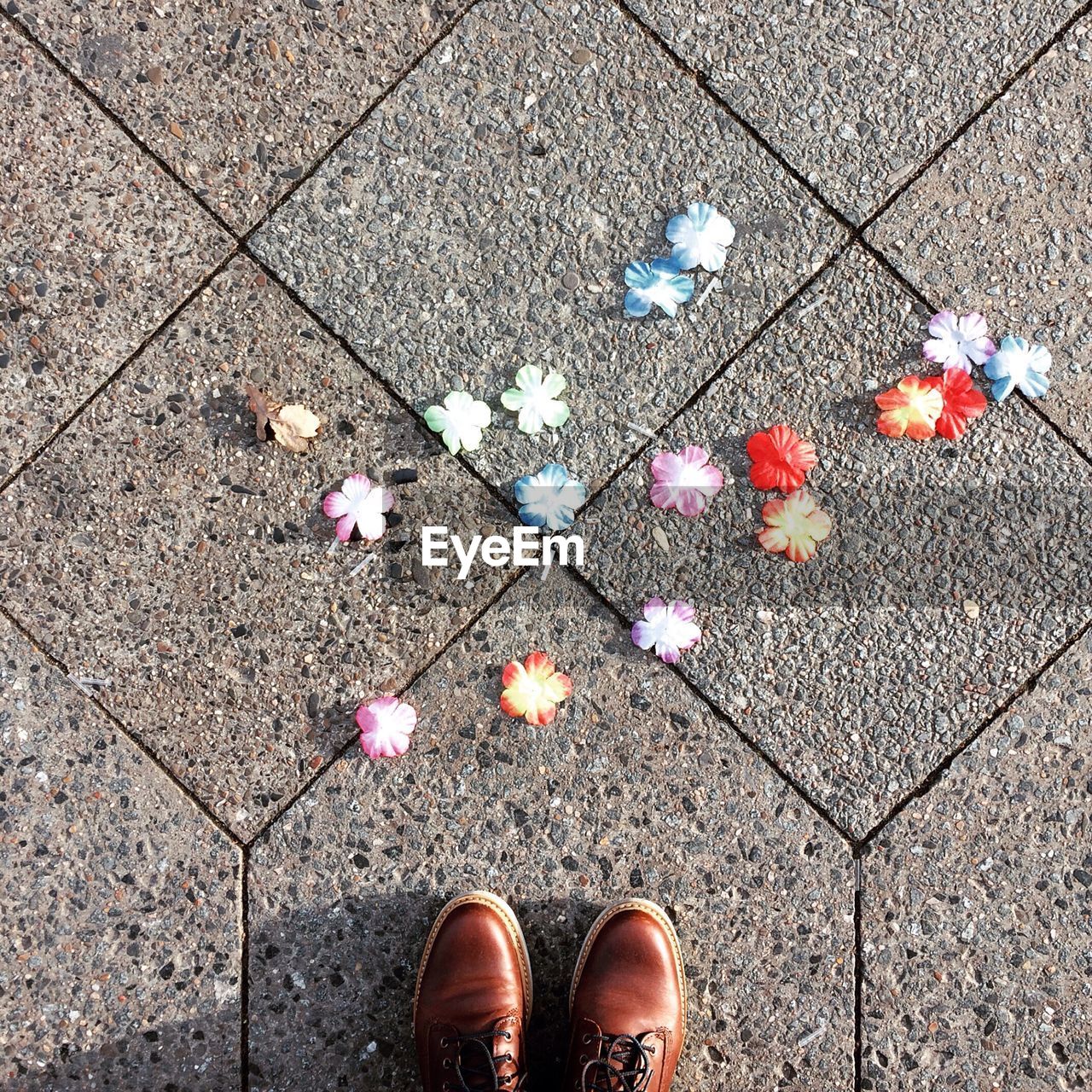 Low section of person standing by flowers on footpath