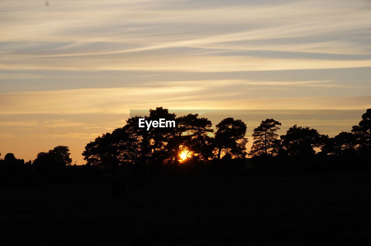 SILHOUETTE TREES AGAINST SKY AT SUNSET