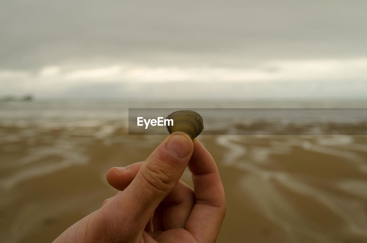 Cropped hand holding seashell on beach against cloudy sky