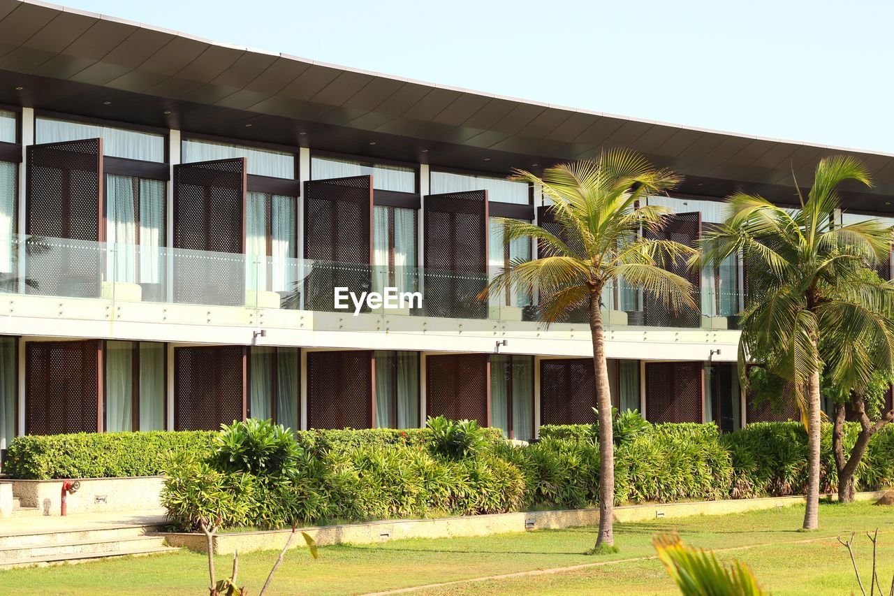 VIEW OF PALM TREES AND BUILDING