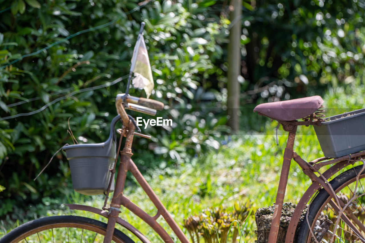 CLOSE-UP OF BICYCLE IN BASKET ON LAND