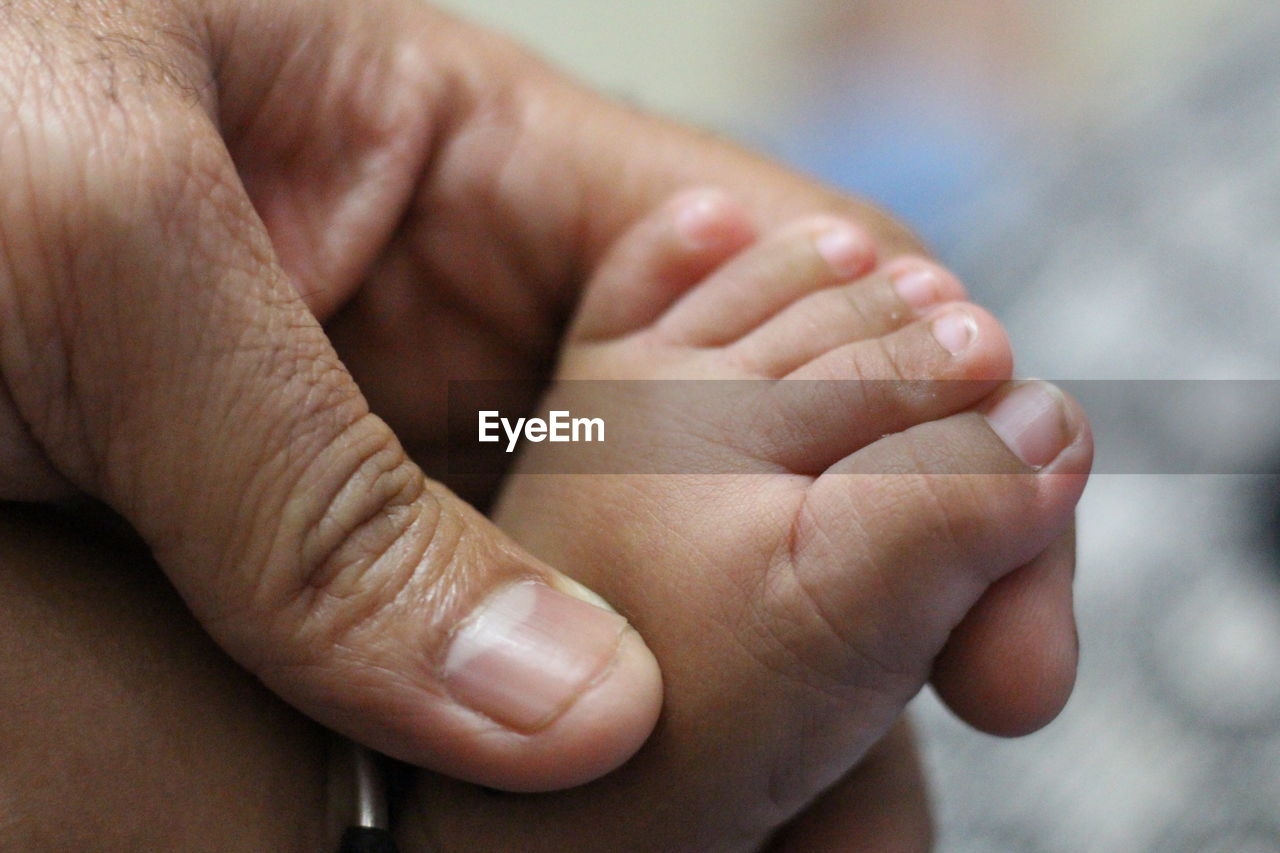 Close-up of hands holding baby leg