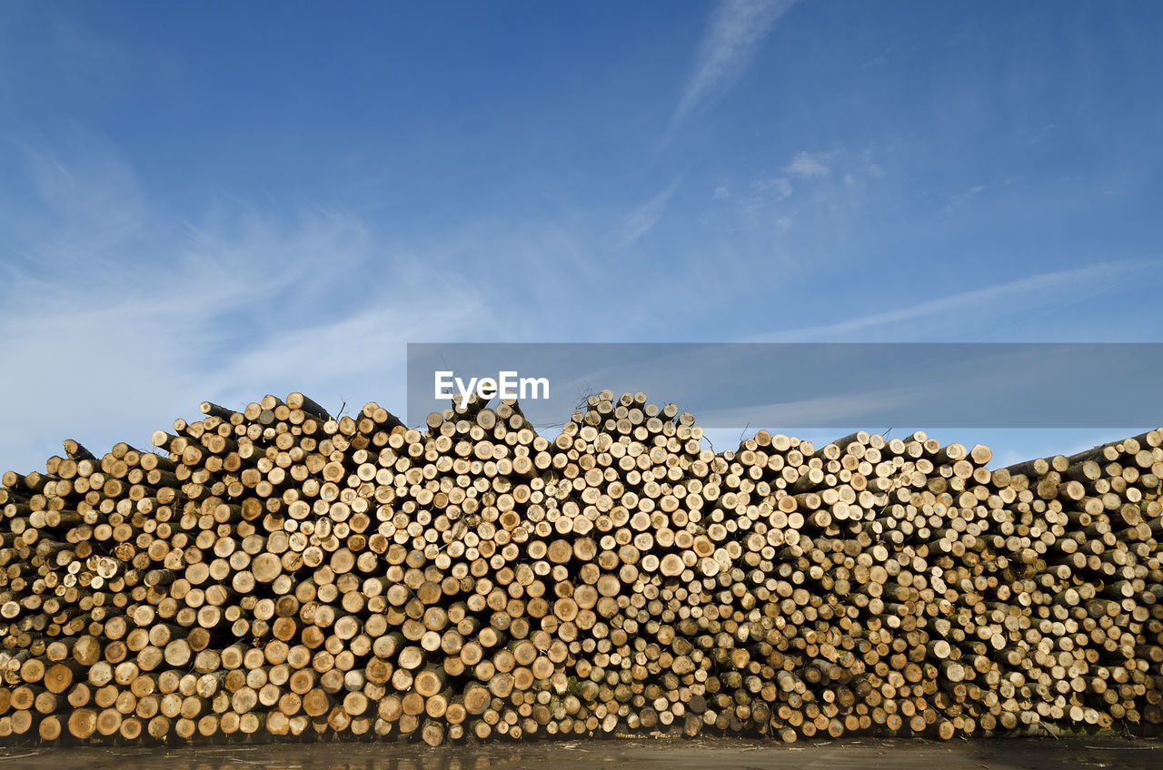 STACK OF LOGS AGAINST SKY