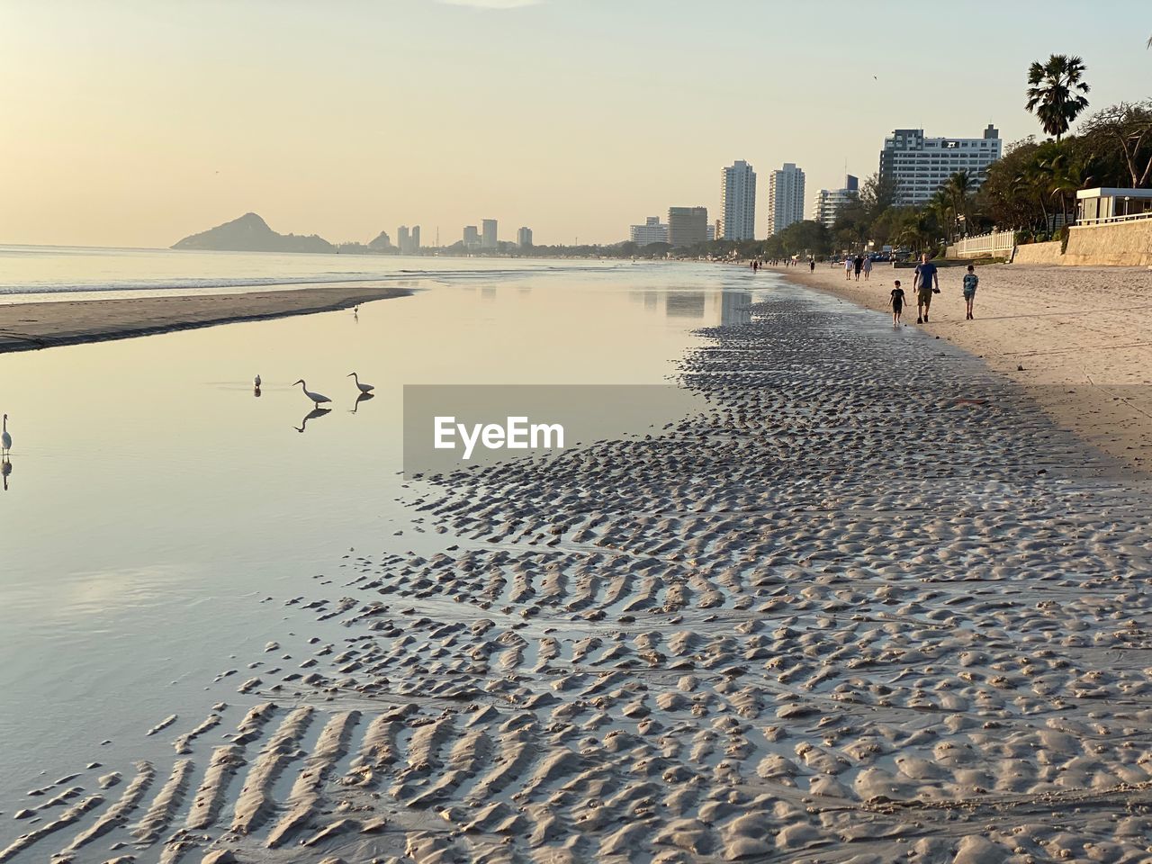 Scenic view of beach against sky during sunset