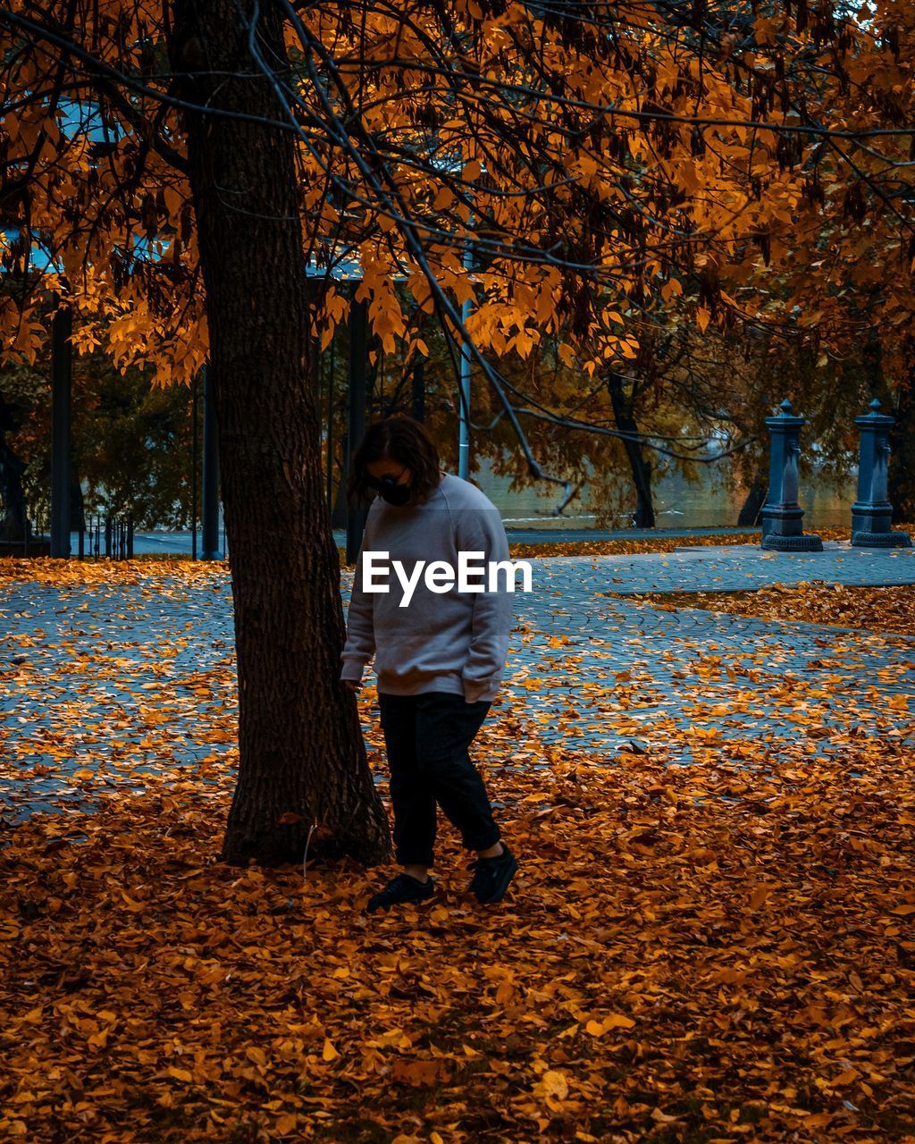 Full length rear view of a woman standing by tree during autumn