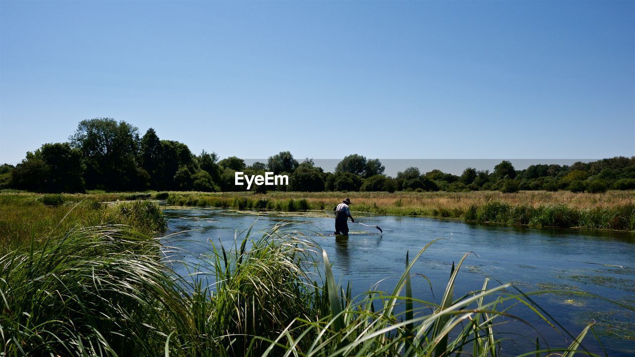 Man cutting riverweed in water against clear blue sky