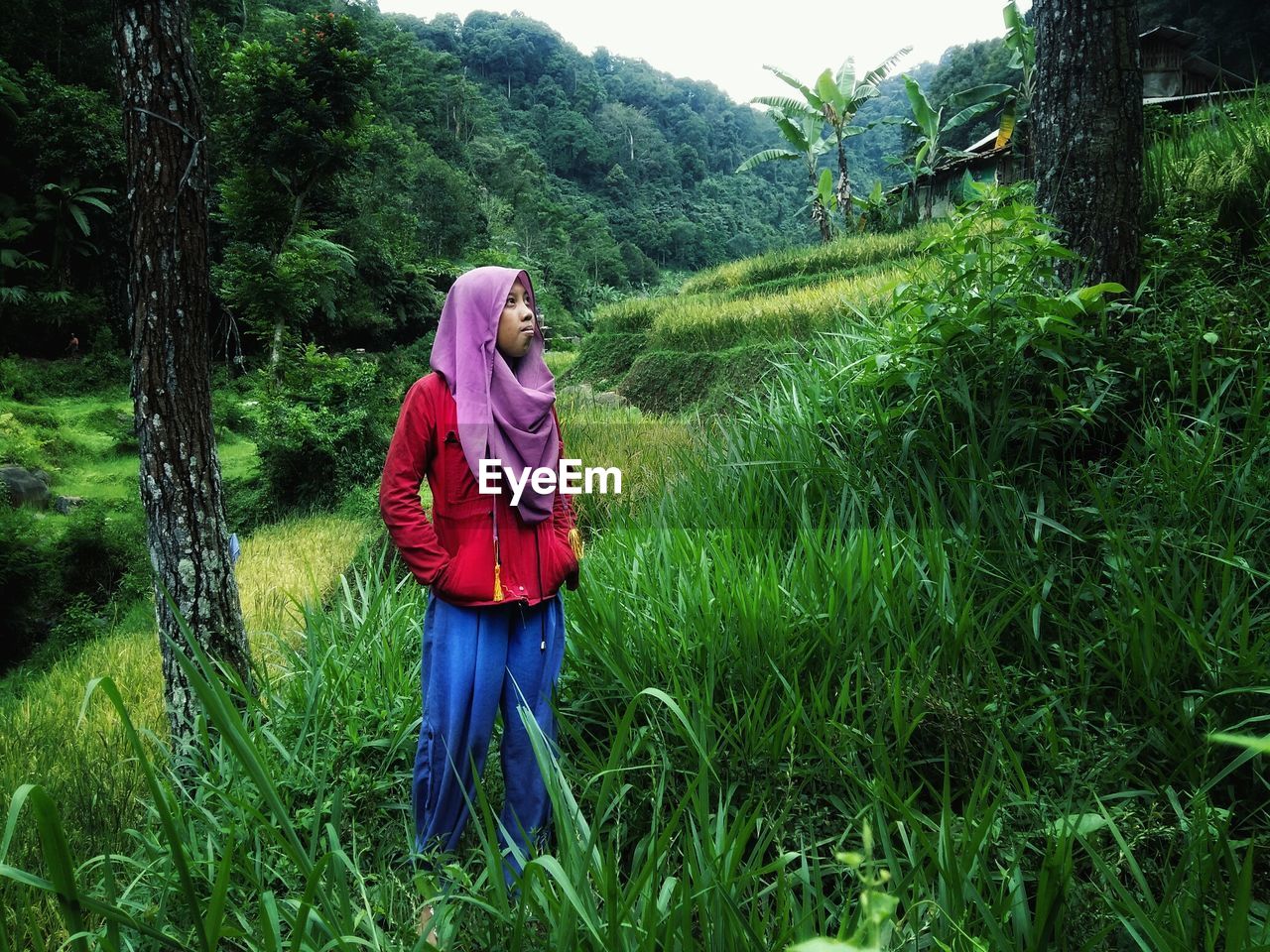 Young woman wearing hijab while standing on grassy field in forest