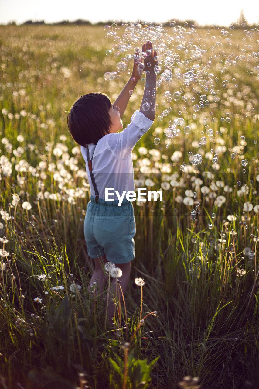 Funny happy child sit in hat on field with white dandelions  sunset in summer. soap bubbles  flying