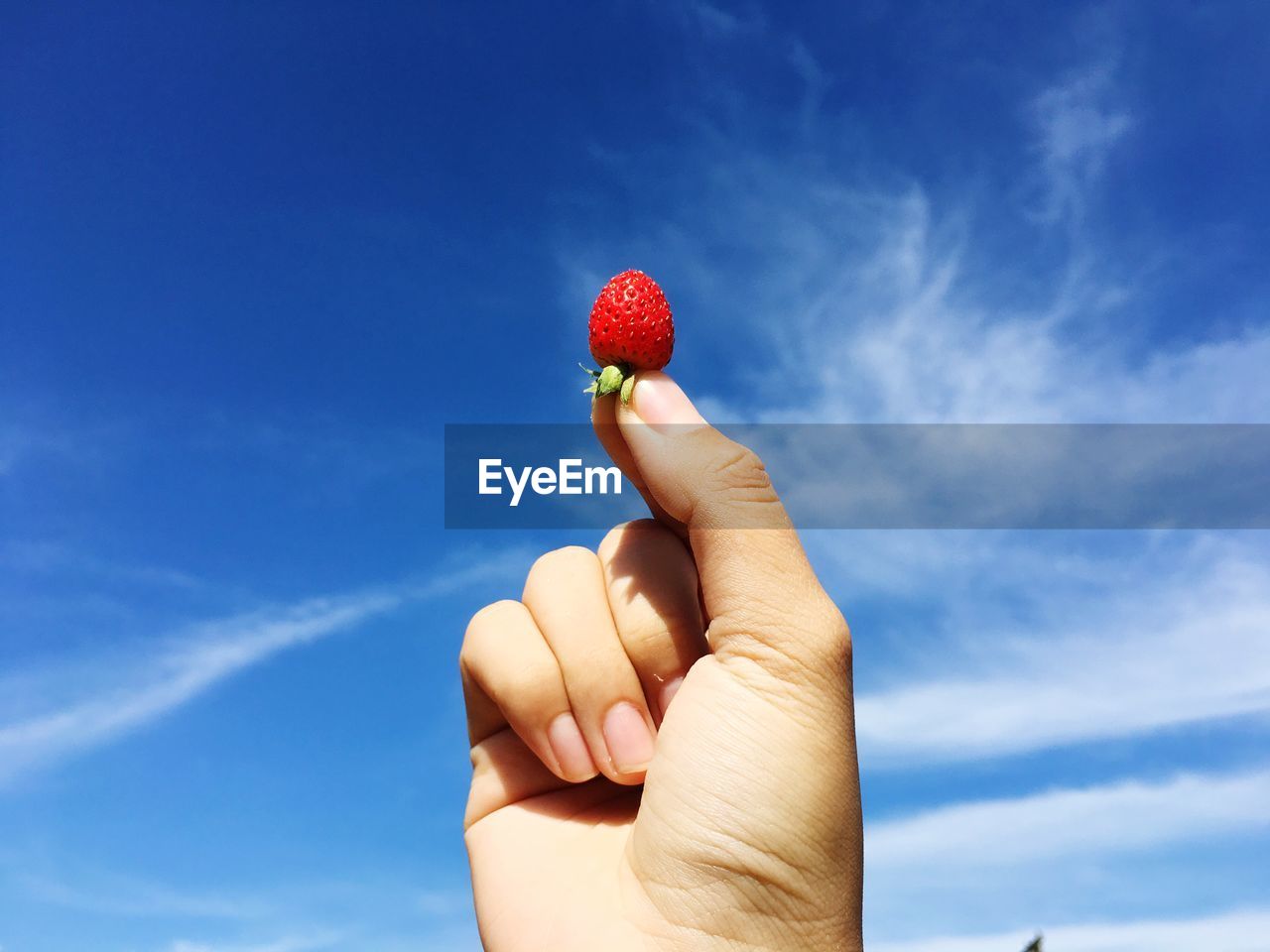 Cropped person holding strawberry against blue sky