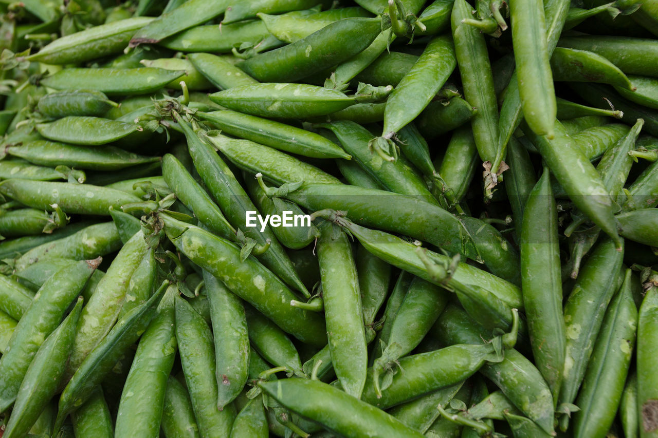 FULL FRAME SHOT OF FRESH GREEN VEGETABLES