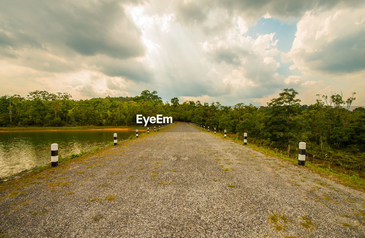 Panoramic view of road amidst trees against sky