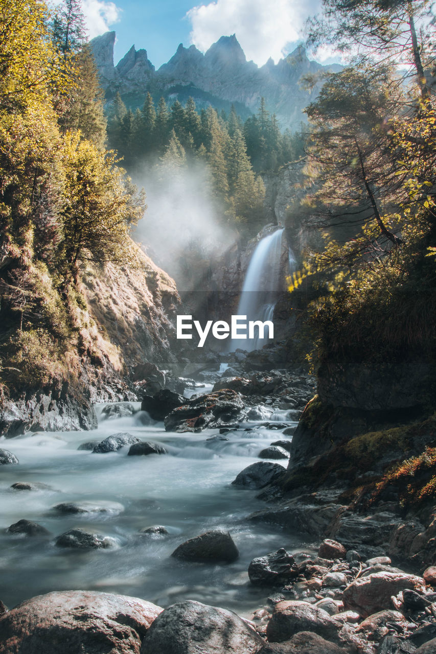 Scenic view of waterfall in forest