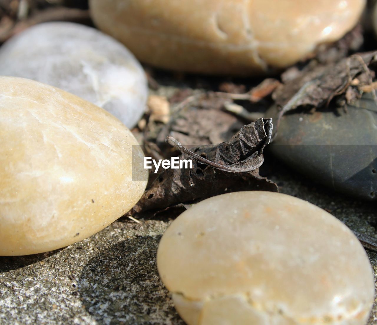 Close-up of stones on field