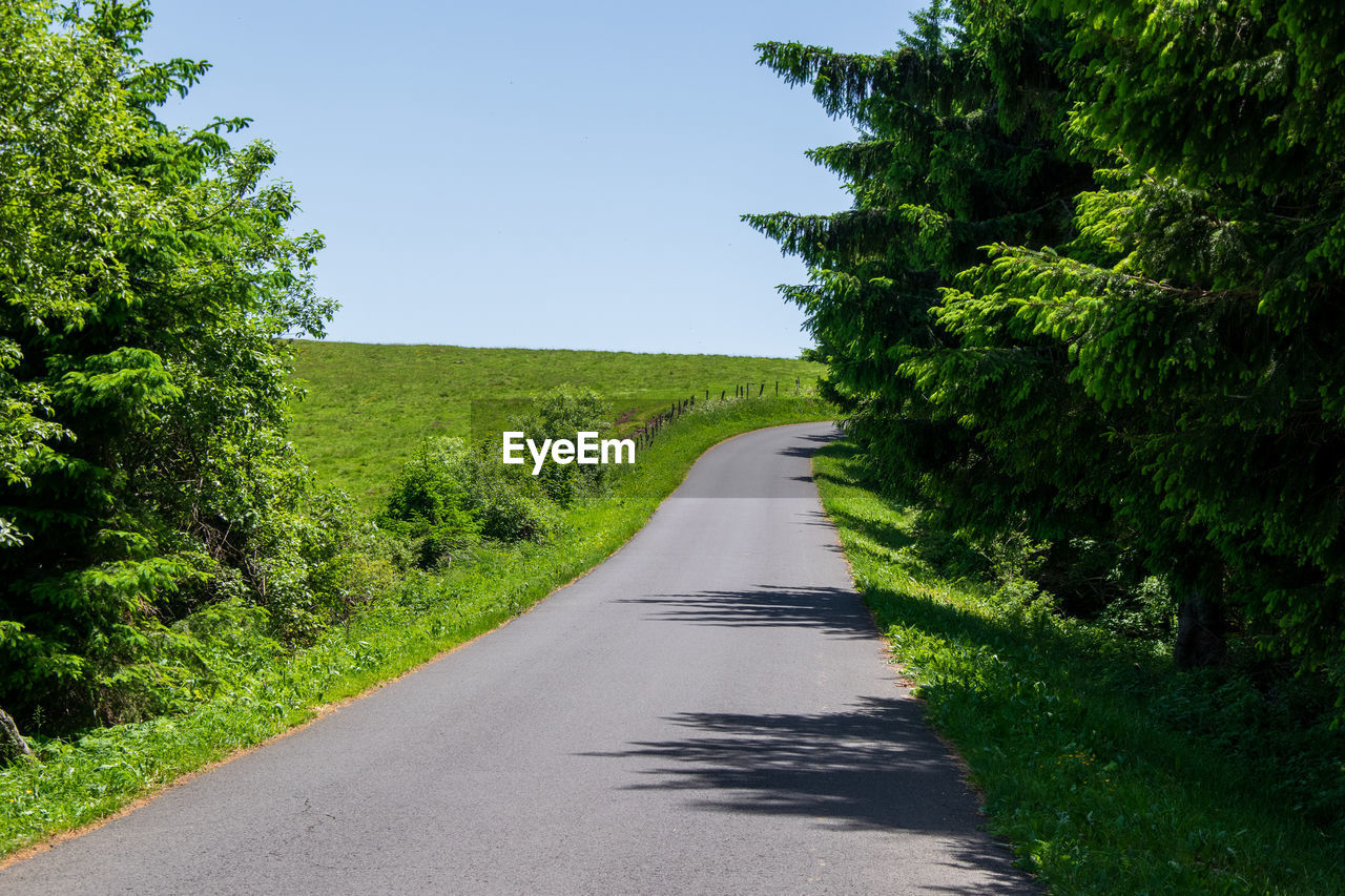 EMPTY ROAD ALONG TREES AND PLANTS AGAINST SKY