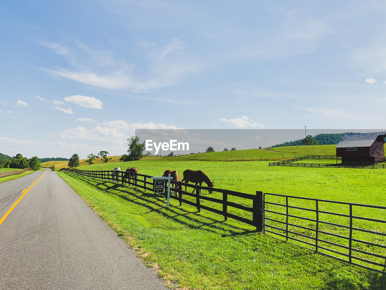 SCENIC VIEW OF ROAD AMIDST FIELD AGAINST SKY