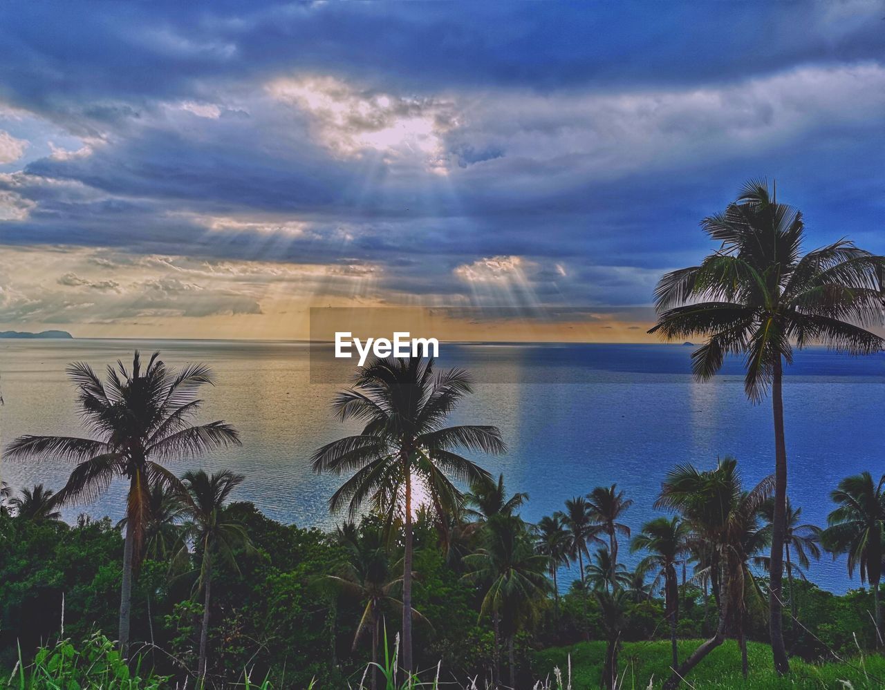 PALM TREES BY SEA AGAINST SKY