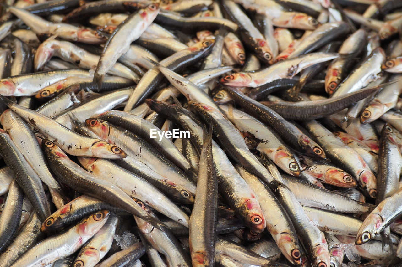 Full frame shot of sardines for sale at market