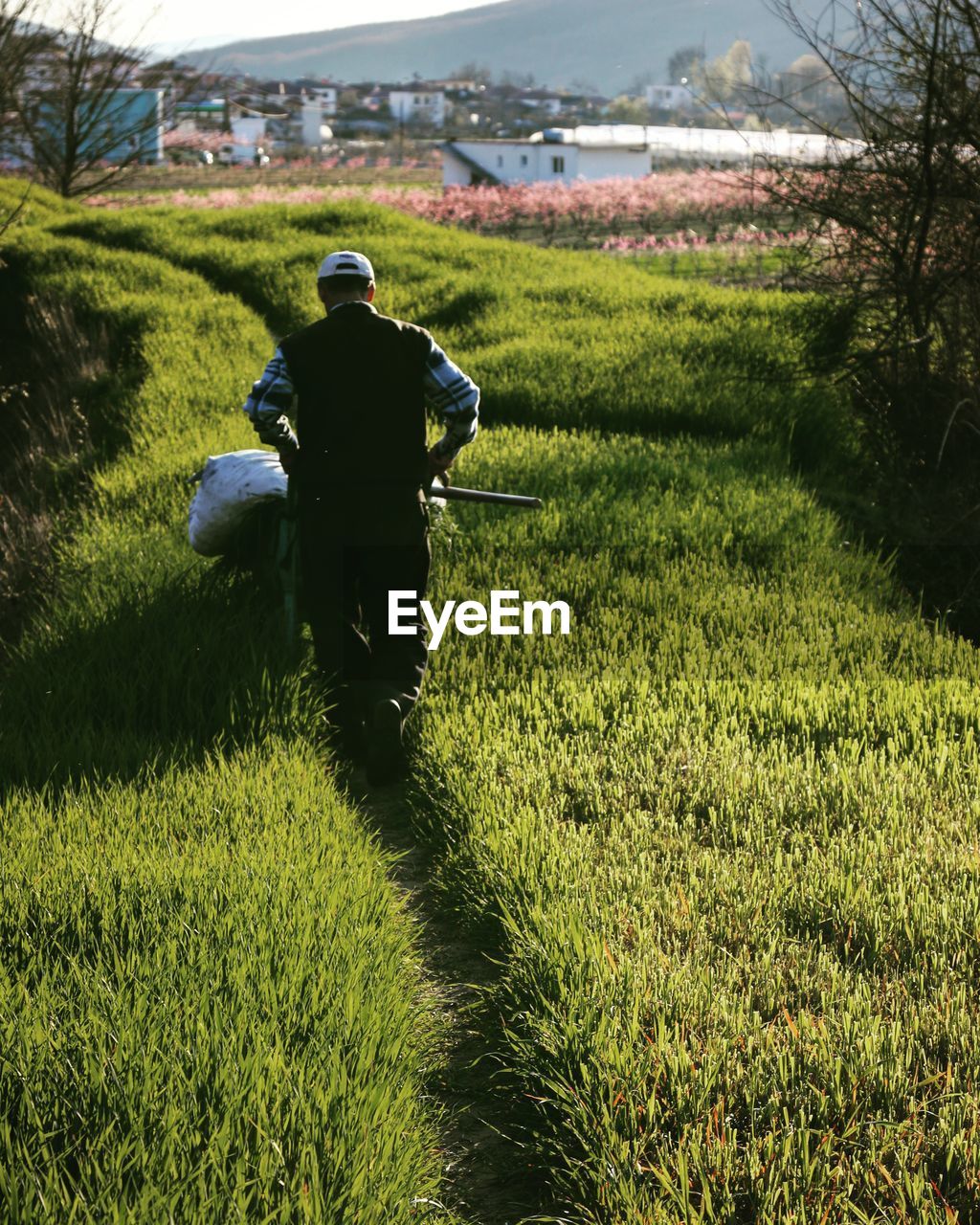 REAR VIEW OF MAN IN FIELD