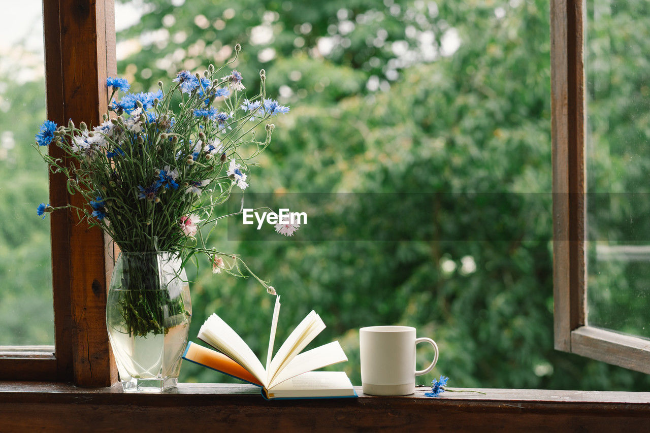 close-up of potted plant on window