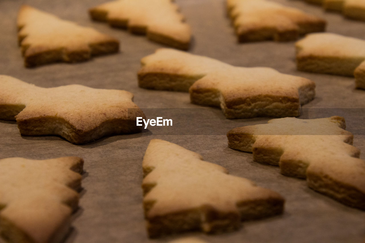 HIGH ANGLE VIEW OF COOKIES IN PLATE