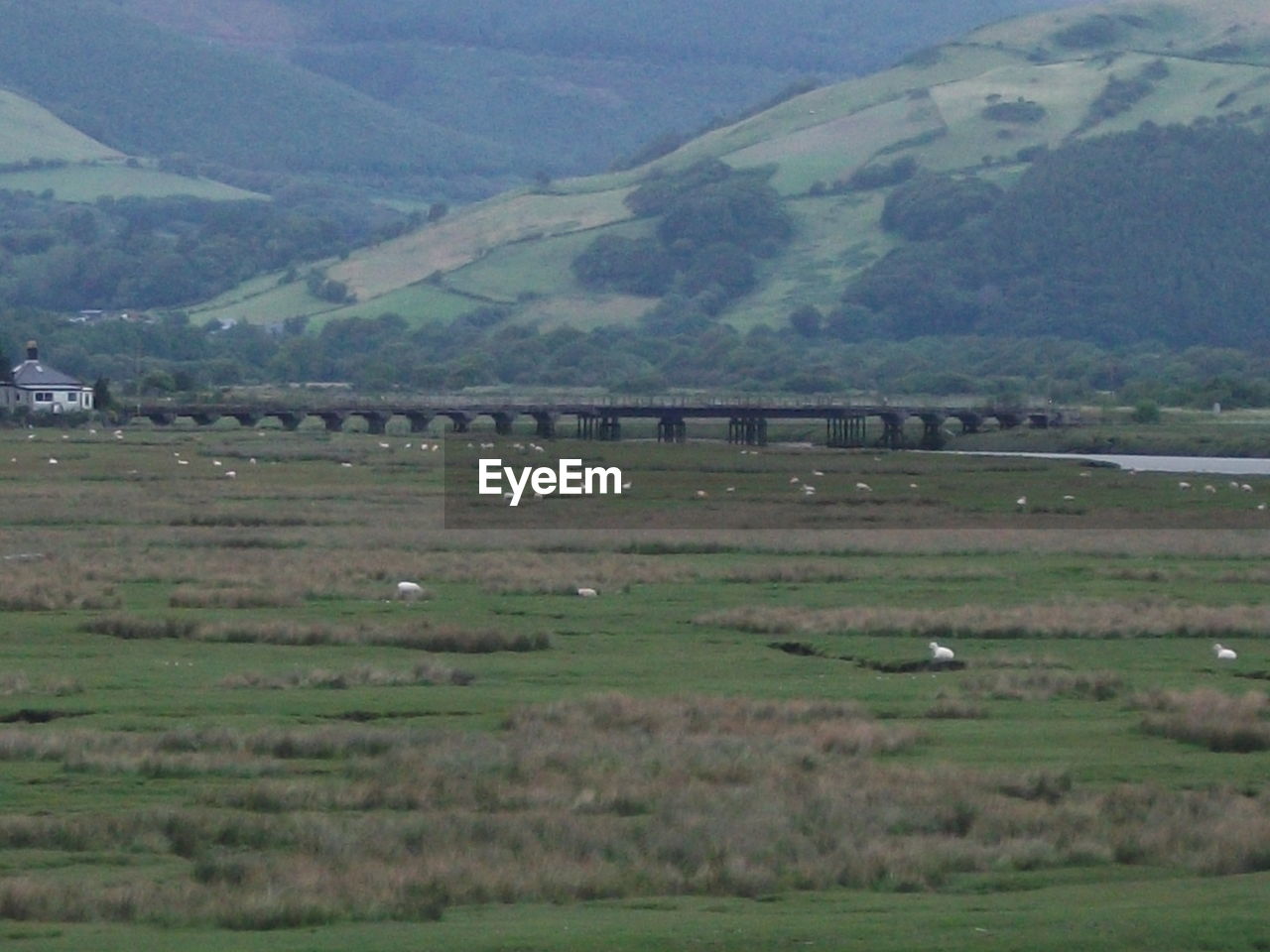 Scenic view of field and mountains